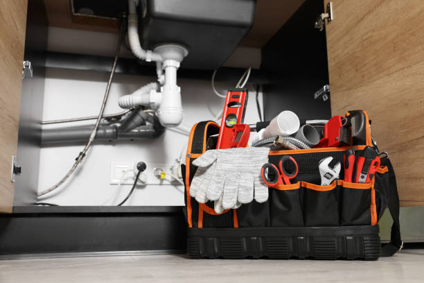 Best Clogged Drain Plumber  in Island Walk, FL