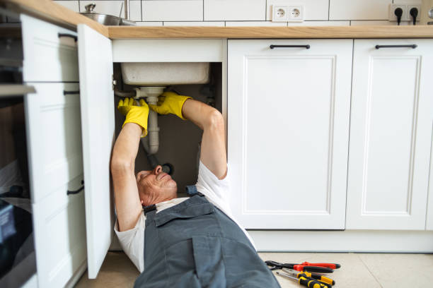 Best Plumbing Inspection Services  in Island Walk, FL