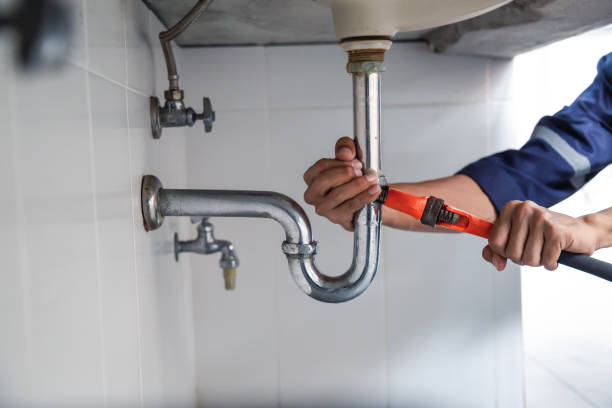 Best Affordable Plumbing Services  in Island Walk, FL