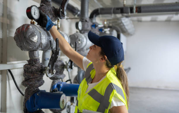 Best Residential Plumbing Services  in Island Walk, FL